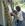 sanding - heavy grit first stage