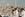 Praying at Mt Arafat during the annual pilgrimage (hajj). Source: Aljazeera