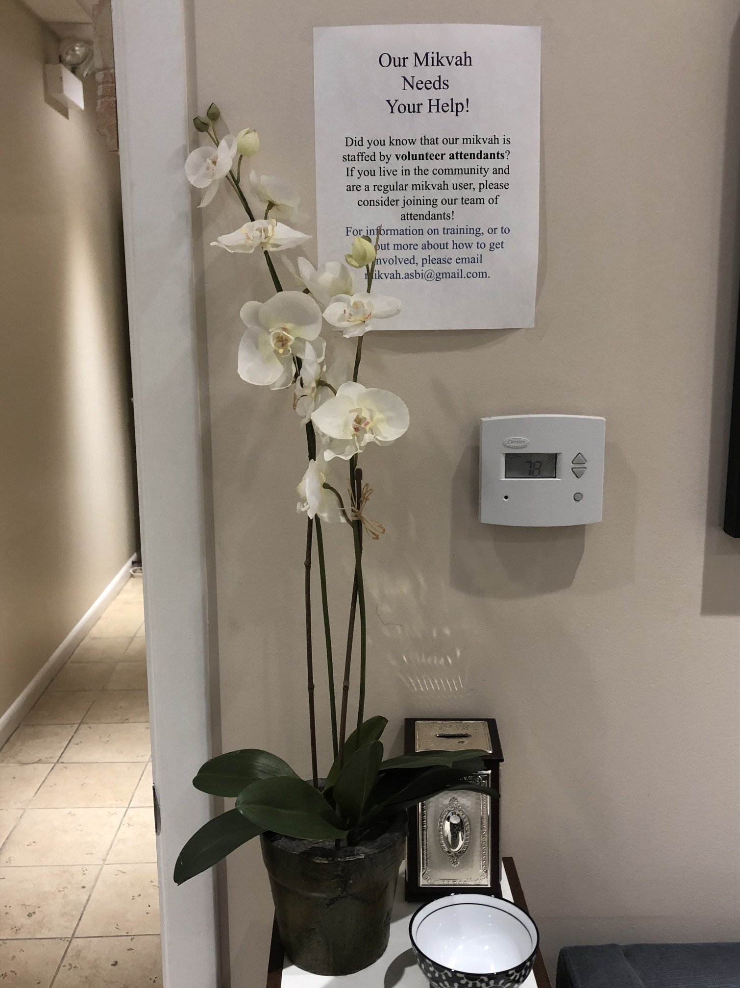 Call for Volunteers--Chigago Mikvah Foyer