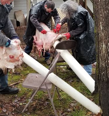  fleshing two hides