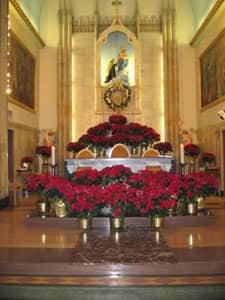 http://www.holyrosarykc.org/images/altar_christmas_2007.jpg