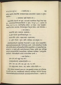 The first two verses of the Purusha Shukta