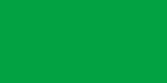 Title: flag of Libya Source: http://en.wikipedia.org/wiki/File:Flag_of_Libya.svg