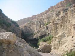 Title: Ein Gedi Source: http://www.flickr.com/photos/lelik/1391257376/