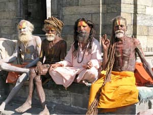Hindu ascetics